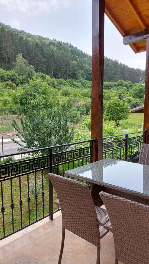 Forest Apartment 사파레바바냐 외부 사진