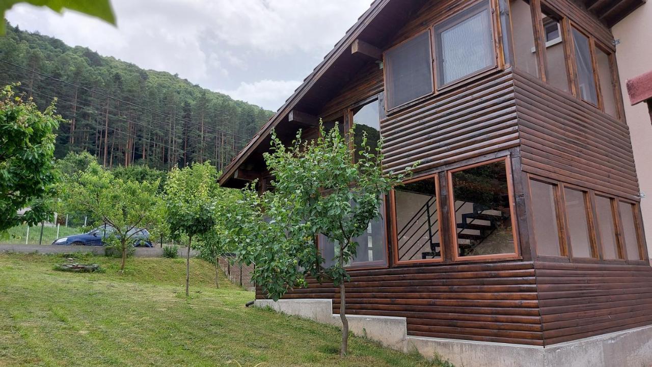 Forest Apartment 사파레바바냐 외부 사진