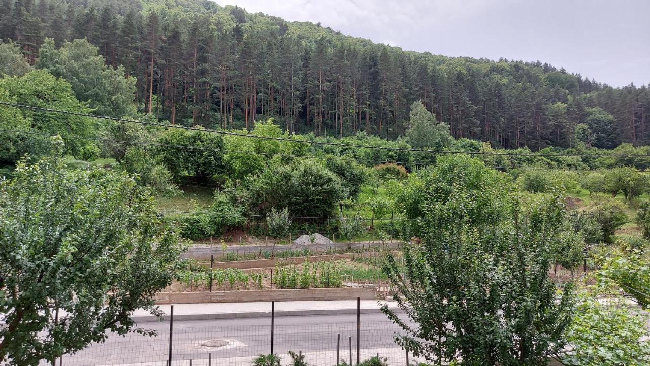 Forest Apartment 사파레바바냐 외부 사진
