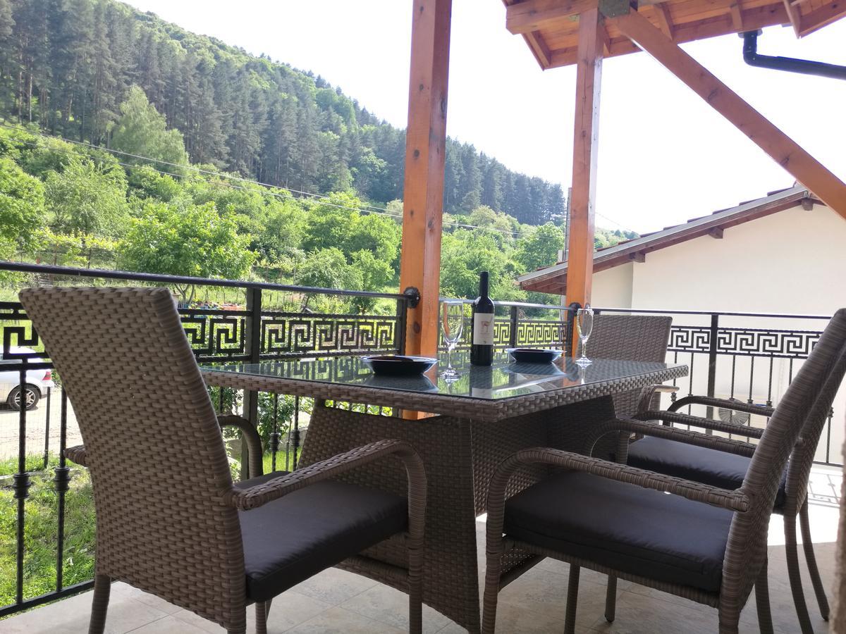 Forest Apartment 사파레바바냐 외부 사진
